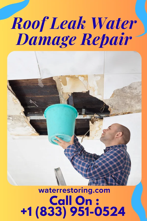 Roof Leak Water Damage Repair in Oconee, GA